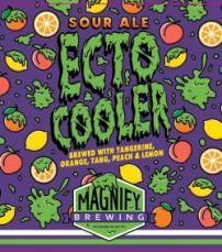 Magnify Ecto Cooler 4pk Cn (4 pack 16oz cans) (4 pack 16oz cans)